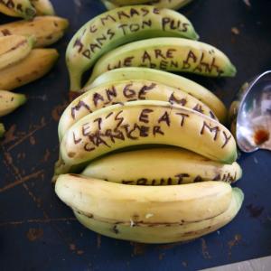 Rencontre et performance « poétique et politique du végétal »