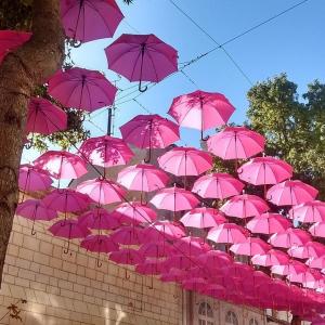 L’exposition immersive « L'Odyssée de Léa » :L’Odyssée de Léa : un voyage au cœur des mers de papier