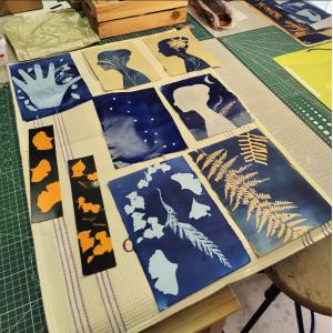 Initiation au cyanotype - pratique complète à l'Usine des transitions