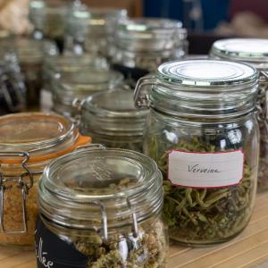 Le toit de l’aromathèque Permapolis – Visite-dégustation en mode hivernal