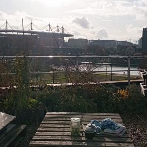 Le toit de l’aromathèque Permapolis – Visite-dégustation en mode hivernal