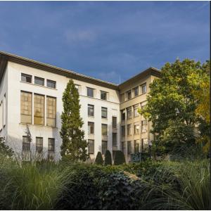 Parcours Centre-Ville : le cœur de la cité bat pour vous