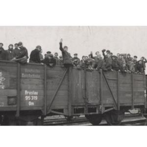 Exposition temporaire << La fin de la Shoah : survivre, t�moigner, juger >>