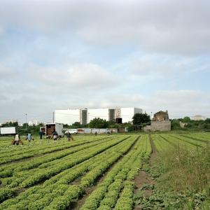 Et pourtant, on y mange ! La zone des tartres par ses pratiques alimentaires
