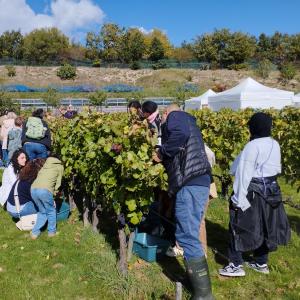 Parcours dégustation vigne et vin d'Ile-de-France au Parc du Sausset