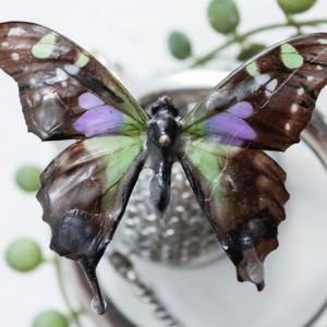 atelier_papillon(c)MichelJocaille