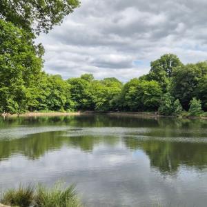 Parcours Hydraulique de Meudon, "Secrets d'Eau en Forêt"