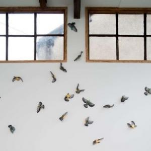 Au cœur de la Mala à Aubervilliers, découverte de trois ateliers et quatre artistes