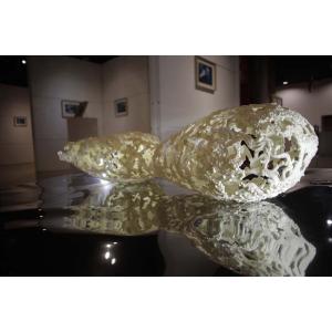 Arielle Domballe2- Porcelaine froide- bille de polystyrene