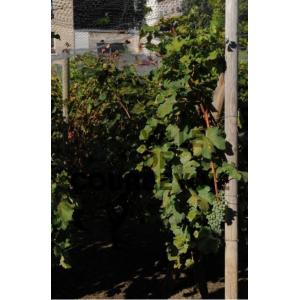 Atelier le vin de Courbevoie