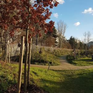 À la découverte du Bois de Charonne, tronçon de la petite ceinture récemment ouverte au public