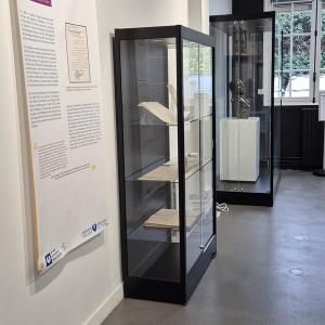 Nouvelle exposition « L’Assistance publique pendant la Deuxième Guerre mondiale »