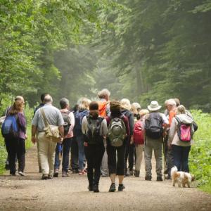 Marche en Vallée de la Bièvre : nature, bois et horizons printaniers