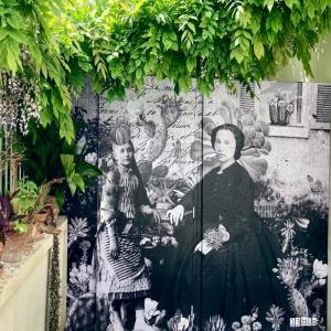 De haut en bas de la colline du Street-Art, Belleville en roue libre