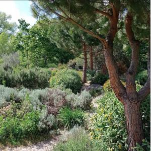 (c) Issy Tourisme International 