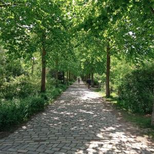 (c) Issy Tourisme International 