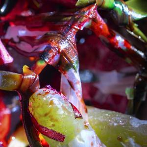 Diane Severin Nguyen, If Revolution is a Sickness (2020). Courtesy the artist, KADIST collection copie