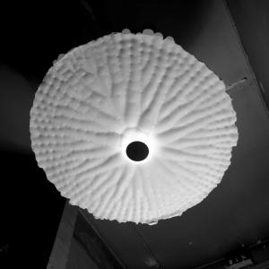 (c) Christian de Chavagnac