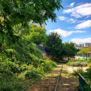 Balade urbaine et biodiversité dans le sud de Paris