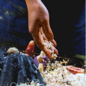 Exposition "Une assemblée des gestes, Episode 1 " du CND aux Magasins Généraux".