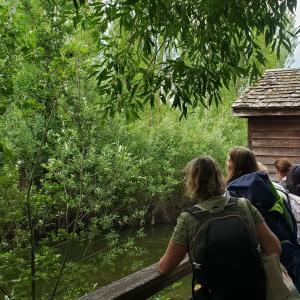 Grande marche sur les bords de Marne et dîner Château