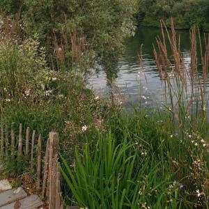 Grande marche sur les bords de Marne et dîner Château