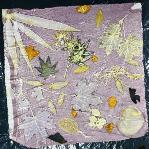 Atelier Ecoprint, initiation à l’impression végétale sur textile