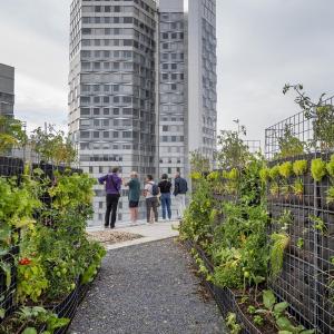 Visite guidée de la Ferme urbaine de Métal 57
