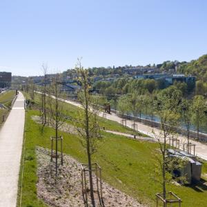 À la découverte du parc départemental Gauthier Mougin