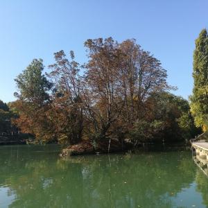 Balade des Coteaux : du Plateau aux Bords de Marne de Champigny