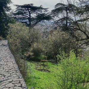 Balade des Coteaux : du Plateau aux Bords de Marne de Champigny