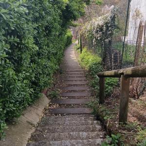 Balade des Coteaux : du Plateau aux Bords de Marne de Champigny