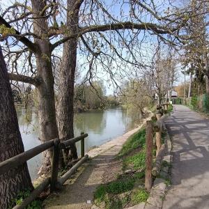 Balade des Coteaux : du Plateau aux Bords de Marne de Champigny