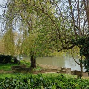 Balade des Coteaux : du Plateau aux Bords de Marne de Champigny