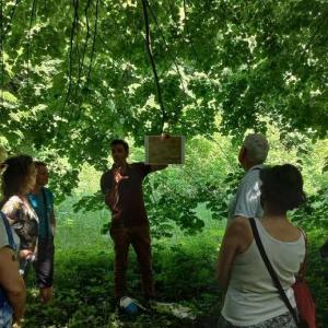Atelier écosystème urbain à Livry-Gargan - Printemps des cités-jardins