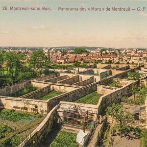 La longue histoire des murs à pêches avec la Société Régionale Horticole de Montreuil
