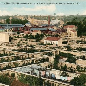 La longue histoire des murs à pêches avec la Société Régionale Horticole de Montreuil