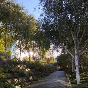 Réinventer la ville par le paysage : l’exemple du Parc André Citroën