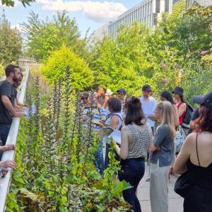 Terroir urbain, les Plantes Urbaines à Rosa Parks