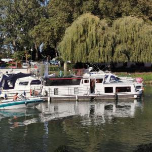 Plages, guinguettes et maisons « Belle Epoque » au bord de la Marne
