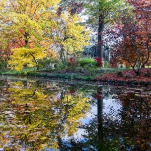 Visite de l'Arboretum au Domaine départemental de la Vallée-aux-Loups