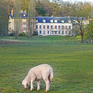 Visite guidée de l'Arboretum au Domaine départemental de la Vallée-aux-Loups