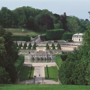 Oiseaux des jardins