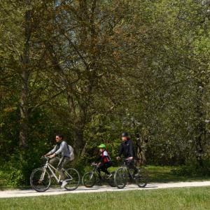 Balade à vélo dans le parc de la Haute-Île