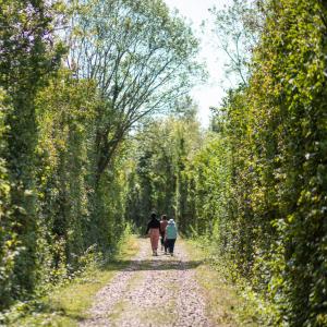 Marche nordique dans le parc départemental de la Haute-Île