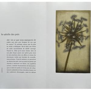 © J.J.J. Rigal Herbier et poème de Jean Grosjean Le salsifis des prés