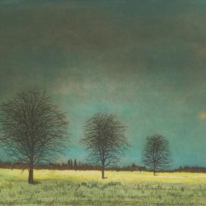 © J.J.J. Rigal Le Chant des arbres