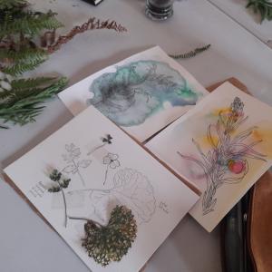 Dessin botanique & plantes sauvages des bords de Seine