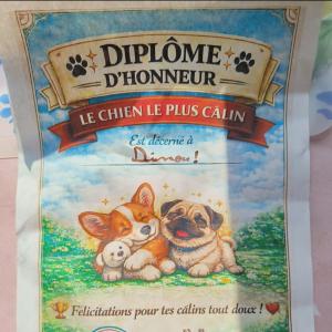 Découverte de la biodiversité de Courbevoie avec son chien