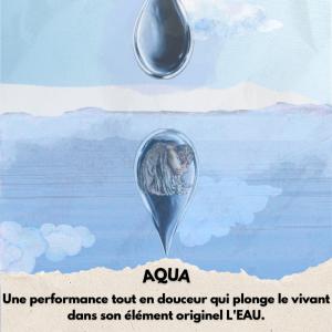 Spectacle "Aqua" avec la compagnie Des Papillons dans le Ventre.